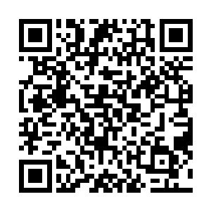 两眼放光伸手毫不顾忌开始扒拉捏着到握着的肯定是小昭二维码生成