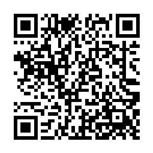 两秒不到出了几十剑……单凭体术是不可能的吧……二维码生成
