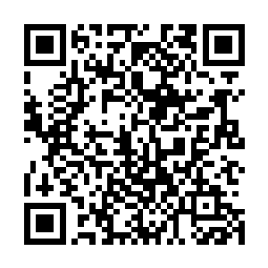 两者之间的速度差距只在灵鹫不管什么地形都能走直线飞行二维码生成