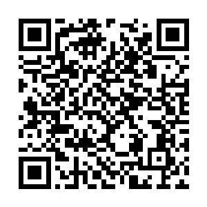 两股无比恐怖的绝强的气息也开始疯狂的碰撞起来二维码生成