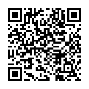 两艘捕鲸船一左一右又把日新丸号和极地曙光号夹在了中间二维码生成