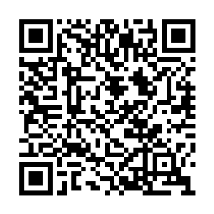 两艘浮空舰的头领因为过道的争夺而争吵了起来二维码生成