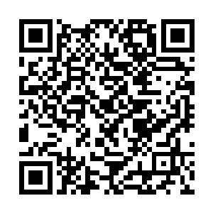 两艘船白象商会的船紧紧追随着远方那个孤单的影子二维码生成