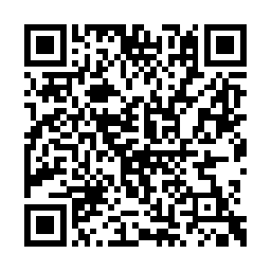 两辆商务车停在了距离汽车旅馆百米之外的路边二维码生成