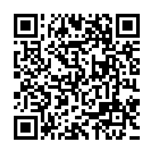 两辆挂着松江市委车牌的黑色奥迪au一路不停地开进松江游乐园二维码生成