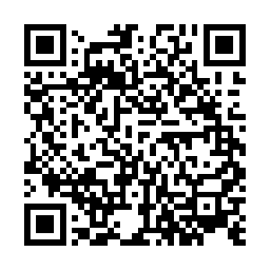 两边拿着水火棍站班的皂隶换成了腰挎绣春刀的锦衣官校二维码生成