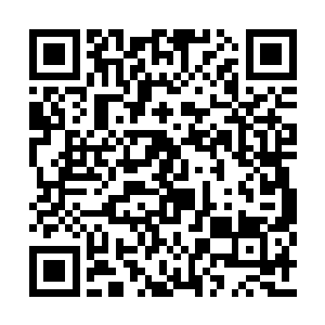 两道人影也应声出现在了觉哥和絮怀殇的退路上二维码生成