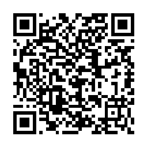两部影片的北美票房也分别达到7211万美元和和8233万美元二维码生成
