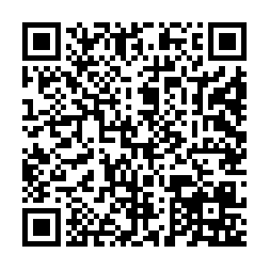 两部新军以及苍狼营则在张一虎与徐怀瑾的率领下一同返回了盛京二维码生成