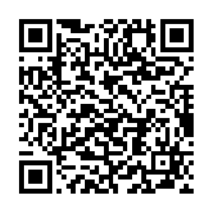 两队人相互基本不认识的立刻转支线飞机前往目的地二维码生成