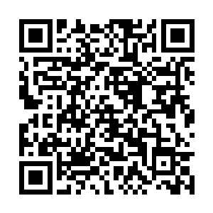 两颗骰子在三个人敲击桌面产生的微小力量影响下二维码生成