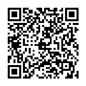 两鬓霜白及一身青素披风无风自动的老白缓缓回头转身二维码生成