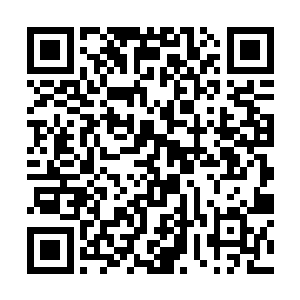 严一凌总觉得这两位姑娘不像表面上看到的这么明媚二维码生成