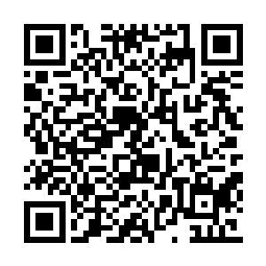 严冬目光颤抖地凝视着从天缓缓飘落下来的杨开二维码生成