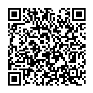 严太太们就看见王妃神情肃穆的带着几位小公子领了饭盆排队打饭二维码生成