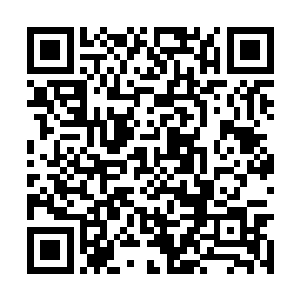 严小酥看着几个女孩子叽叽喳喳的样子忍不住笑了二维码生成