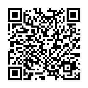 严府门前早就有几个锦衣卫在门外恭候等待通传了二维码生成