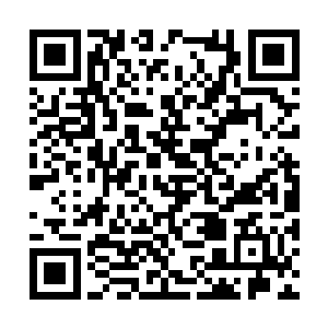 严承悦嘴角含着笑等周妈妈说完才叫严二推他进屋二维码生成