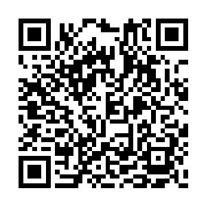 严格按照交易平台程序操作的同时也得有灵活性二维码生成