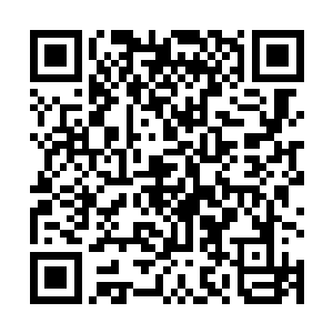 严池集和宋恪礼还有那个诨号孔武痴的同乡人一起离去二维码生成