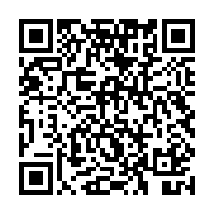 严禁其他冒险团和佣兵团以及任何人直接销售星兽肉二维码生成