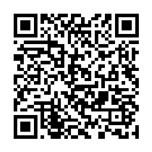 严老将军看着孙子被他训的连手都不知道往哪儿放了二维码生成
