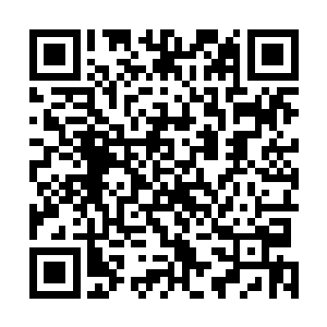 严重一点的可能气血干枯而死了……像秦方这样只是虚弱二维码生成