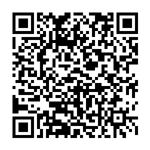 严默一直在羡慕炼骨族和人面鲲鹏等高等智慧生物都有着自己独特的传承记忆法二维码生成