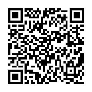 严默不可能让这么一个巨大战力站到人类的对面二维码生成