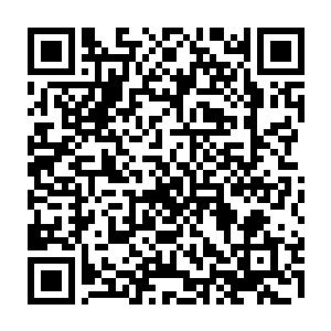 严默作为信息大爆炸时代的未来人一看那骨器弹出的模样就知道青年做了什么二维码生成