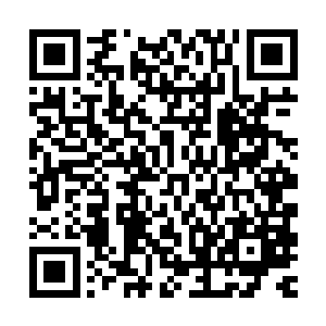 严默使用指南第二条生物指南确定了这种植物确实就是高山蓍草二维码生成