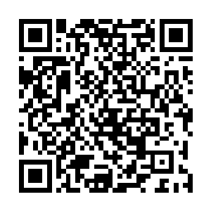 严默只得给两人布置了两个稍微有点难的功课让他们去做二维码生成