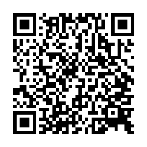 严默和原战则换了一套比较适合走动和……打架的夏服二维码生成