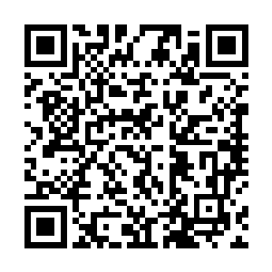 严默回来前也试想过自己回来后会得到怎样的热烈迎接二维码生成