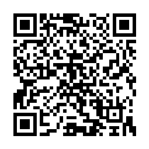 严默在参赛者中大该属于最不经心的一群人之一二维码生成