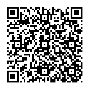 严默已经从其他穿沙甲口中知道这名壮年穿沙甲在没有残废前曾是族中的最强战士二维码生成