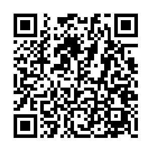 严默怎么看这条秘密管道都觉得很像某种发射口二维码生成