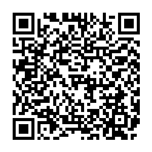 严默才从九风焦虑和不安的思绪中隐约推断出九风要长时间睡眠的信息二维码生成