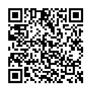 严默正想着要怎么在满地满空间都是粘网中穿梭二维码生成