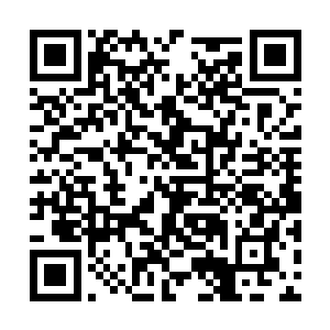 严默没有一般祭司对这种神秘莫测力量的敬畏之心二维码生成