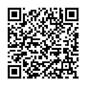 严默没看对方因为冷水刺激而变得精神的兄弟君二维码生成