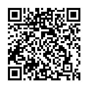 严默猜测它说的地洞就是之前进入飞船底部经过的庞大地下溶洞二维码生成