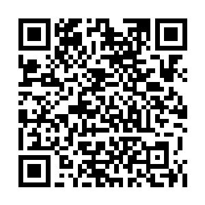 严默看到周围用惊讶目光看他们的神侍和护卫等二维码生成