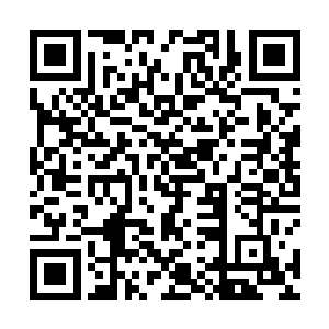 严默瞅着整个占地特别宽广的大厅和前方的二十个窗口二维码生成