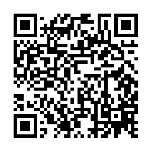 严默瞅着长长的瓜身上被咬掉的缺口进行初步判断二维码生成