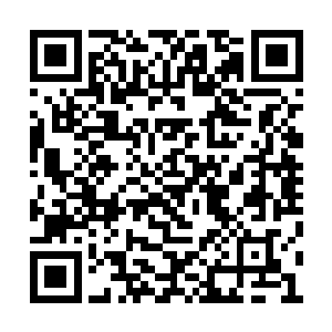 严默突然生出一种自家后花园被人觊觎的不爽感二维码生成