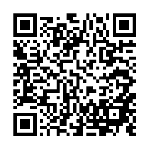 严默索性让九风带着小白角和那只魔兽一起在自己房里睡二维码生成