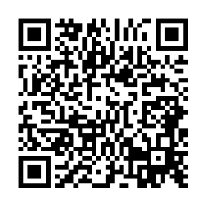 严默能想到的他和长生族的唯一可能性就是他肚中的果实二维码生成