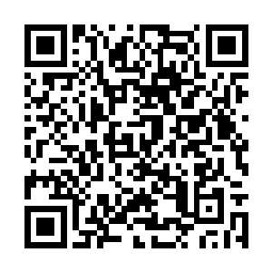 严默觉得能让中医在他的国家流传数千甚至上万年二维码生成