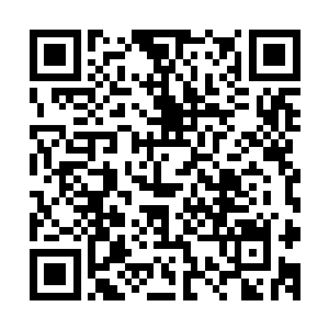 严默进入空间就发现九风不见了他已经习惯九风变小睡他怀里二维码生成